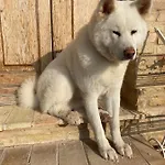 Oda ve Kahvaltı Casa San Ruffino 4*